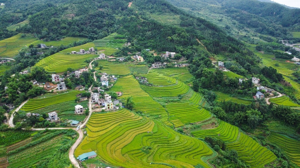 Bình Liêu